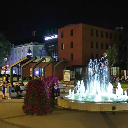 Hotel Zepter Drina Bajina Basta, Member Of Zepter Bajina Basta