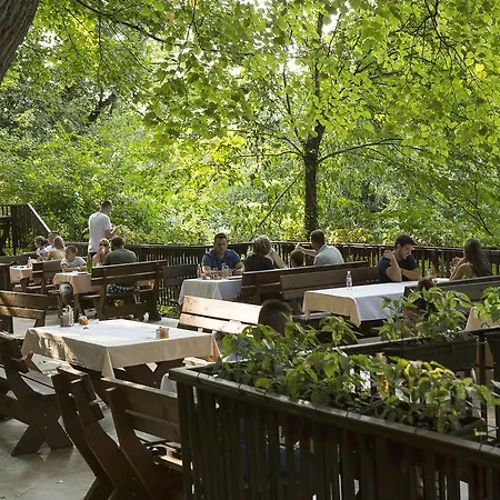 Zepter Drina Bajina Basta, Member Of Zepter Bajina Basta