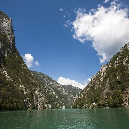 Hotel Zepter Drina Bajina Basta, Member Of Zepter 4*