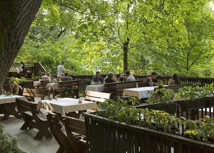 Zepter Drina Bajina Basta, Member Of Zepter Bajina Basta